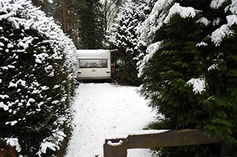 Parzelle Räumung Beispiel Jeversen 2