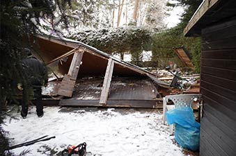 Parzelle Räumung Beispiel Jeversen 7