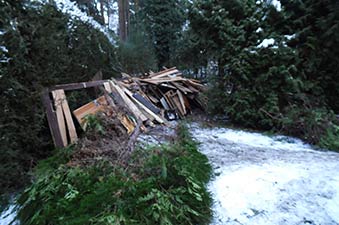 Parzelle Räumung Beispiel Jeversen 8